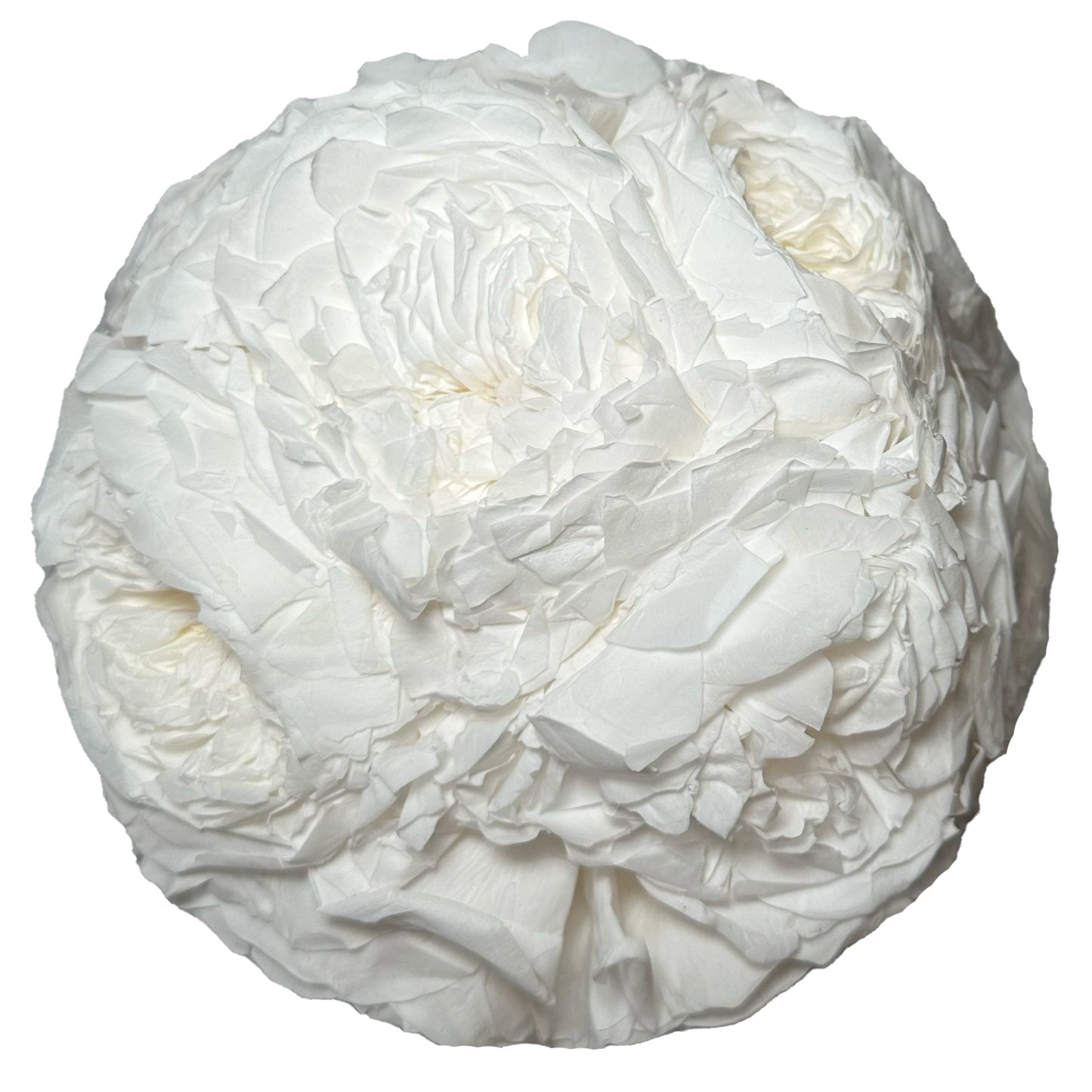 Eternal Blanc Preserved White Rose Round Box displaying pristine white roses in an elegant black hatbox.