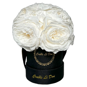 Close-up view of the Eternal Blanc Preserved White Roses highlighting their delicate petals and luxurious packaging.