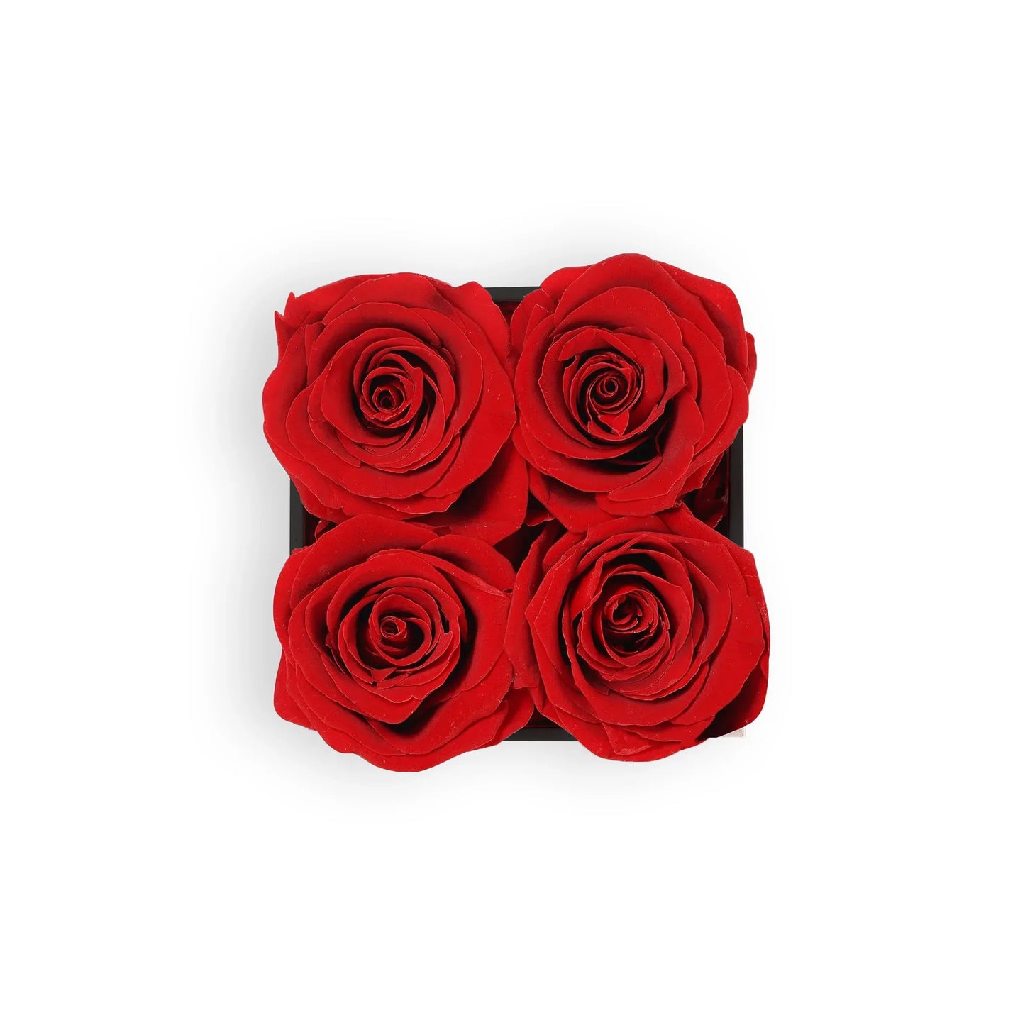 Top view of black square box with 4 preserved red roses inside – luxury floral gift