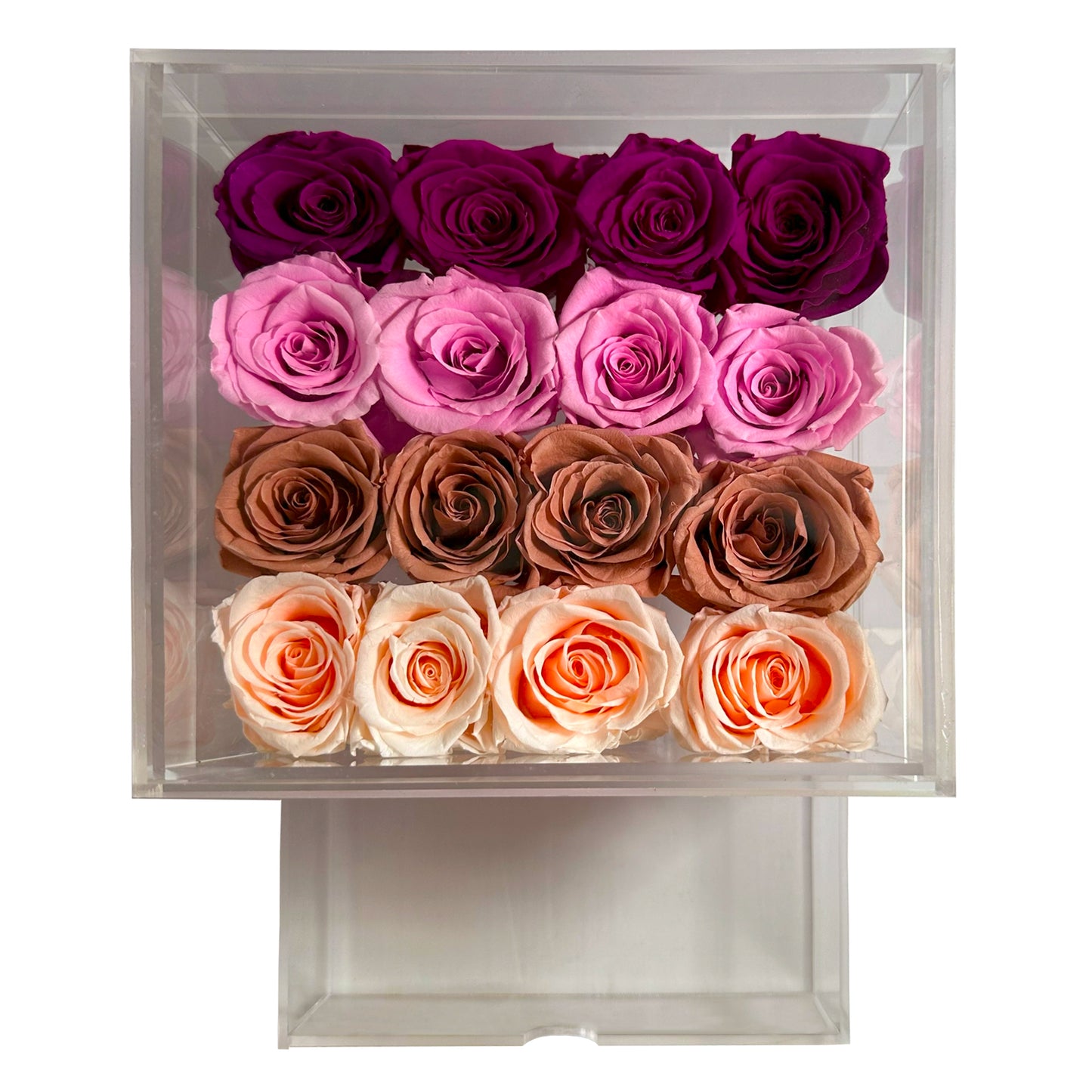 Le Acrylique Collection 16 Roses