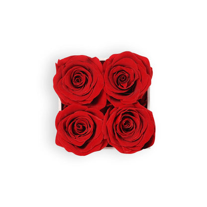 Top view of white square box with 4 preserved red roses – elegant everlasting roses gift