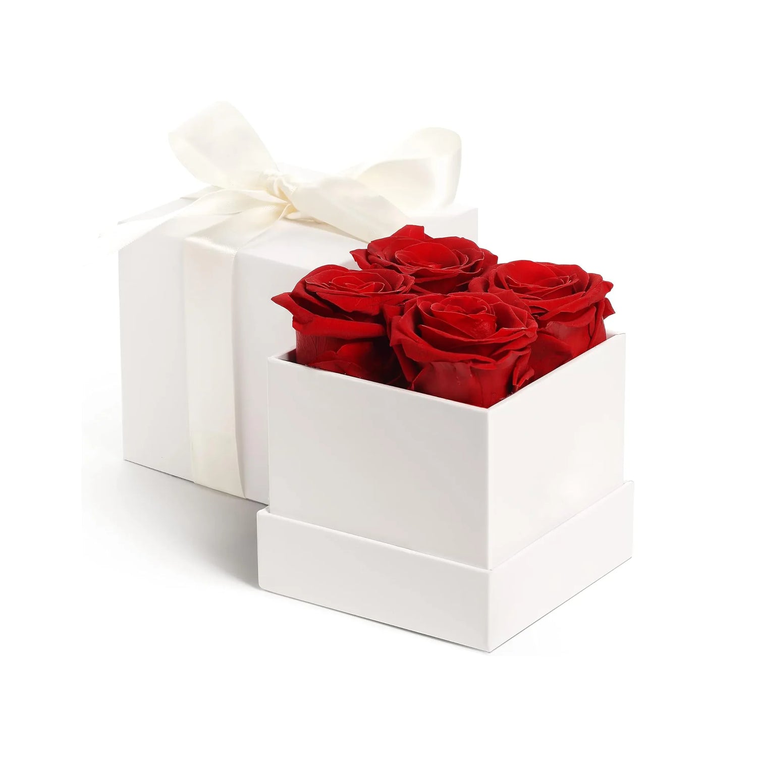White gift box with ivory ribbon and 4 red preserved roses – elegant long-lasting floral gift